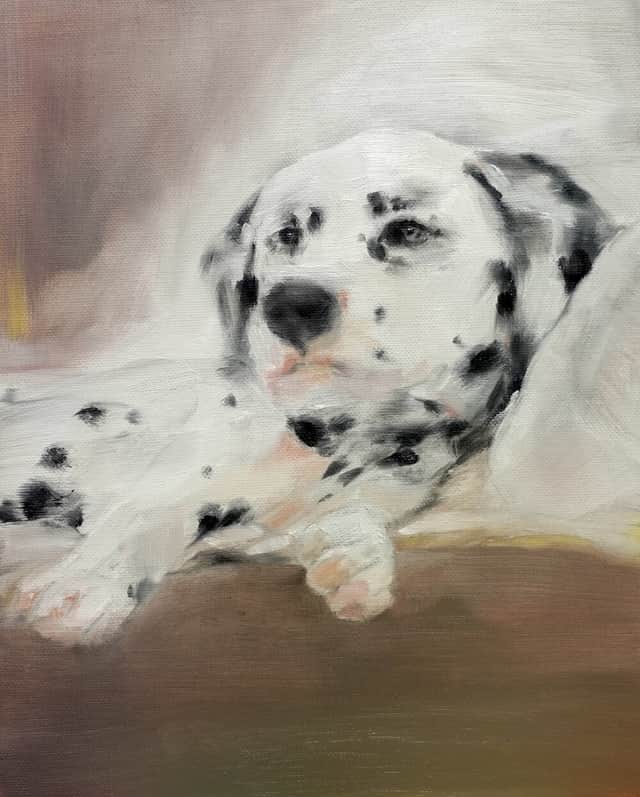 Artwork: Dalmatian