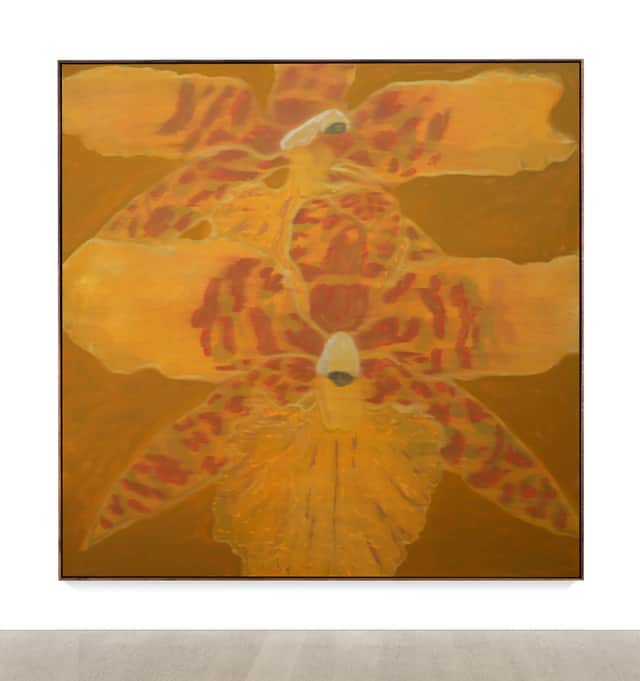 Artwork: In the Shadow of Orchids, Time Folds Back Upon Its Own Reflection.