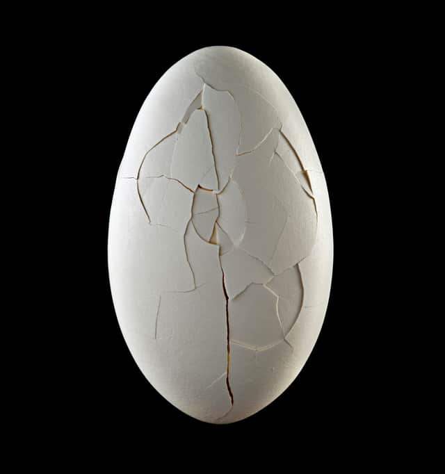 Artwork: Out of Love