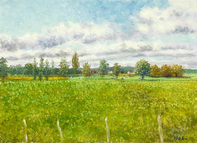 Artwork: Northern Meadows in Northern France - farmhouse -