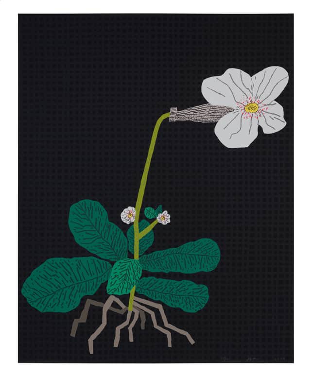 Artwork: White Flower with Grid