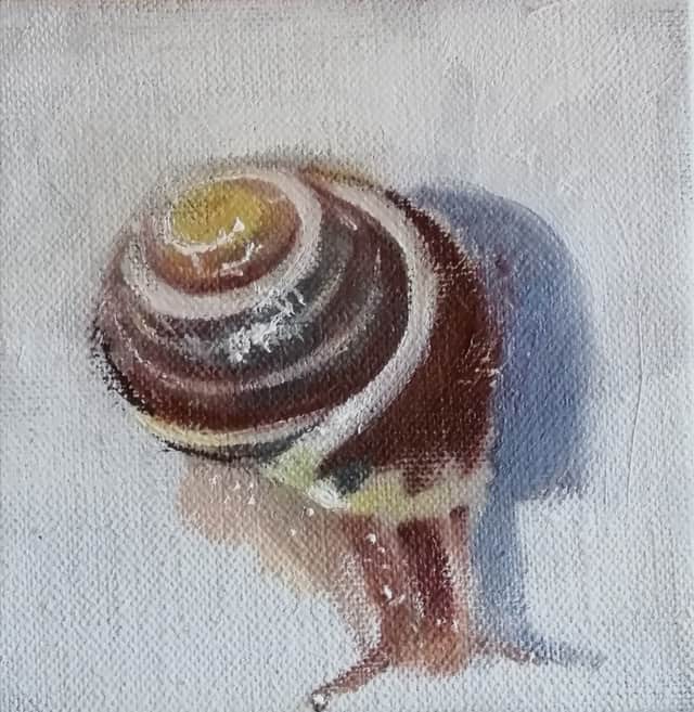 Artwork: Garden Snail