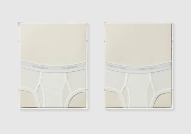 Artwork: UNTITLED ('CALVIN KLEIN') [Two Works]