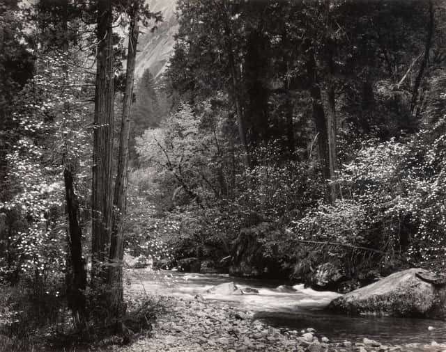 Artwork: Tenaya Creek, Spring Rain