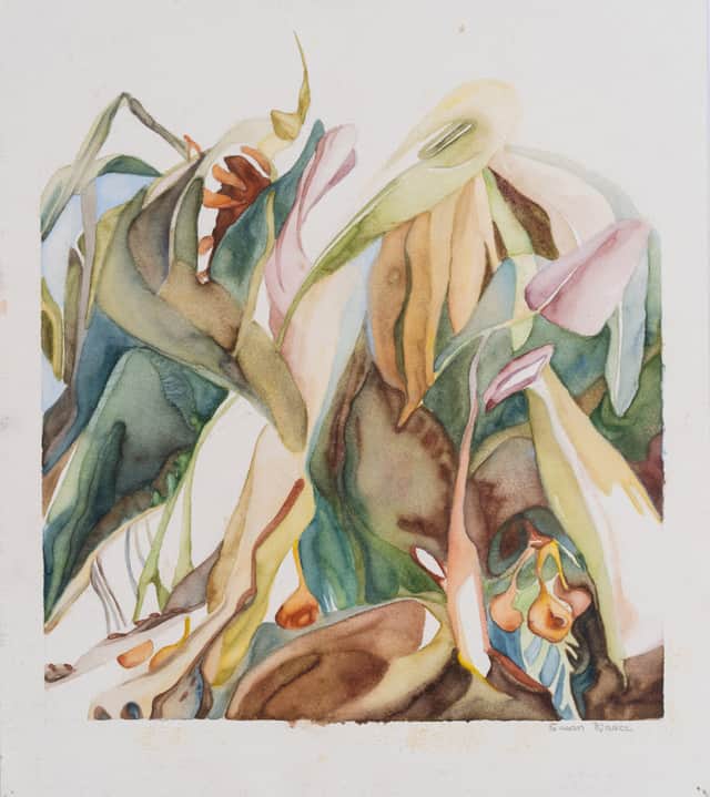 Artwork: Crickets in Sunlight