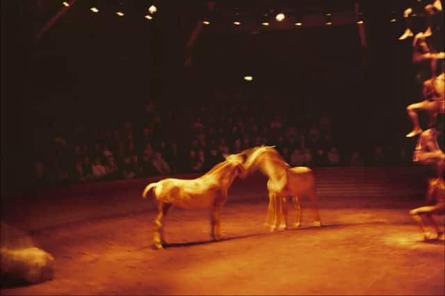 Artwork: Triptyk Zingaro Equestrian Theatre, Paris, 2004