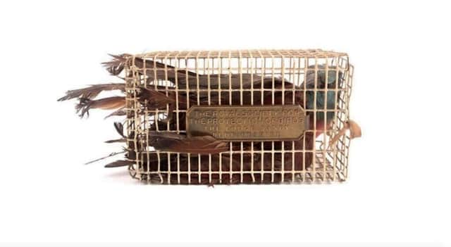 Artwork: Bird in Cage