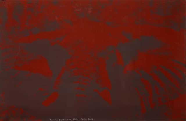 Artwork: Power and Beauty No. 5