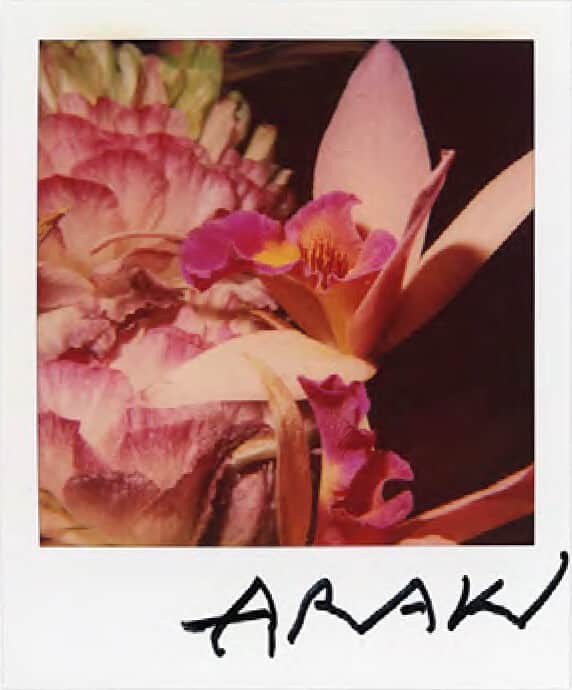 Artwork: Vintage Flower polaroid