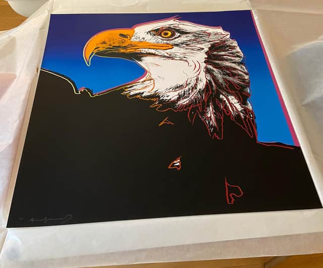 Artwork: Bald Eagle
