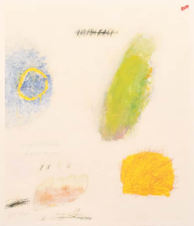 Artwork: avian story