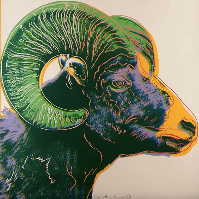 Artwork: Bighorn Ram (FS II.302)
