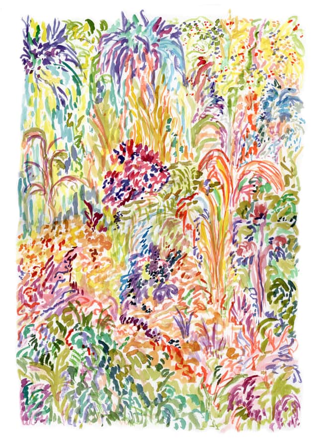 Artwork: Untamed Forest