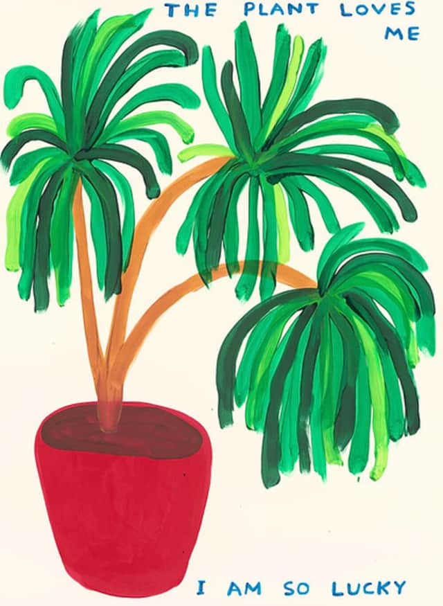 Artwork: David Shrigley The Plant Loves Me