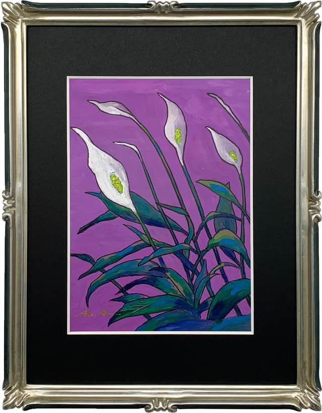 Artwork: Spathiphyllum