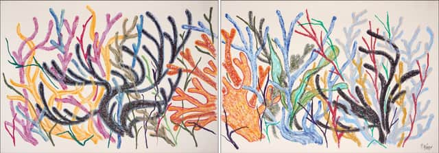 Artwork: Coral Horizon