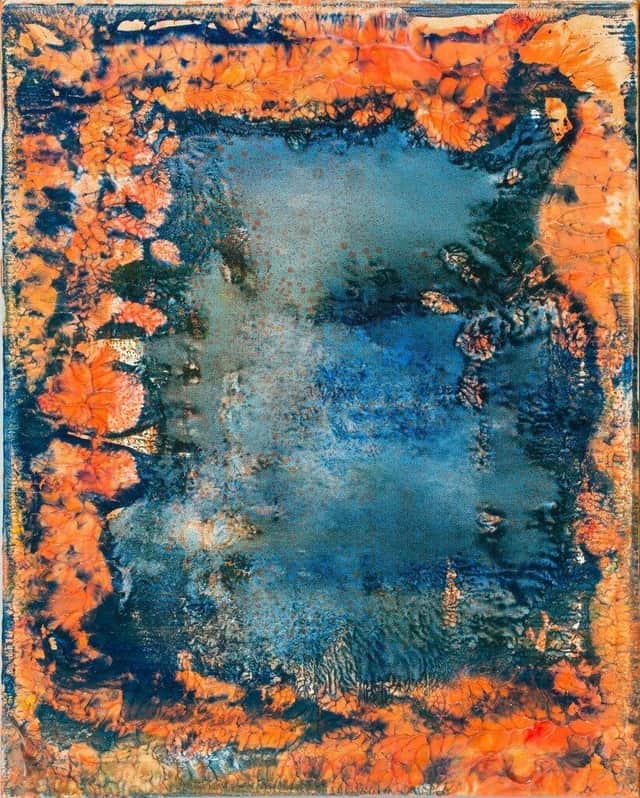 Artwork: Darwin's Coral #2320