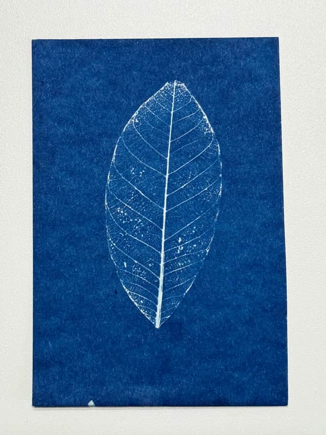 Artwork: Hoja Esqueletizada