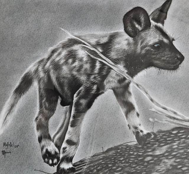 Artwork: The Wild Dog