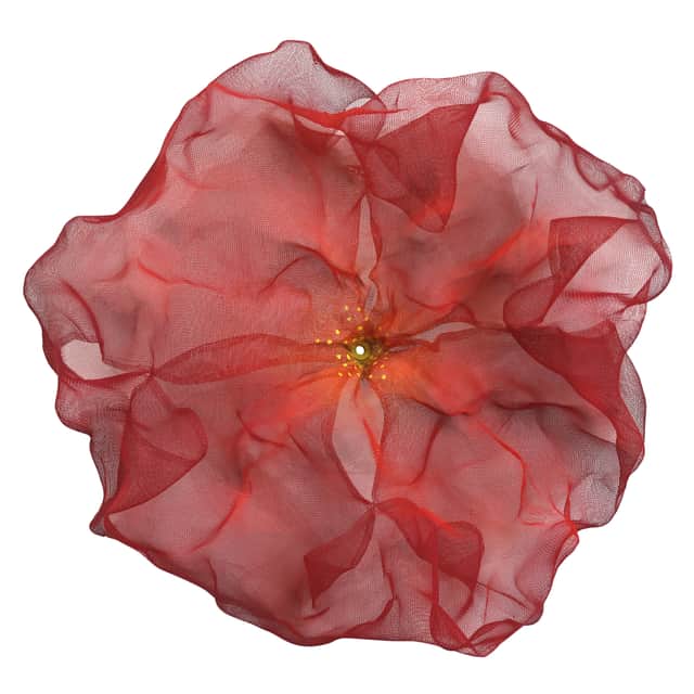 Artwork: Cotton Candy Cumulus Sour Cherry