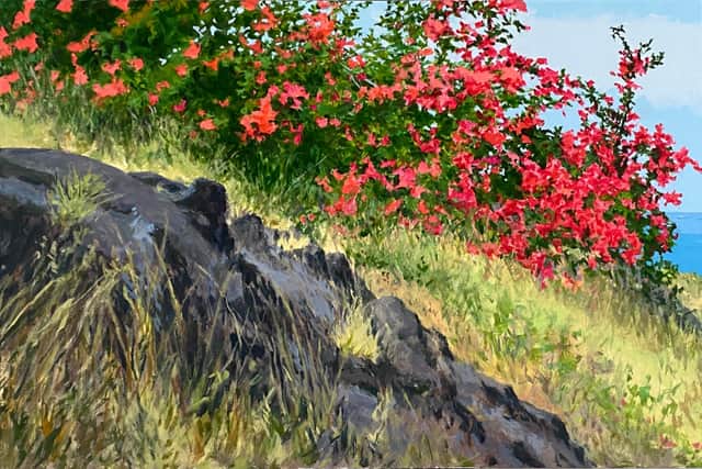 Artwork: Bougainvillea at Honaunau no. 1