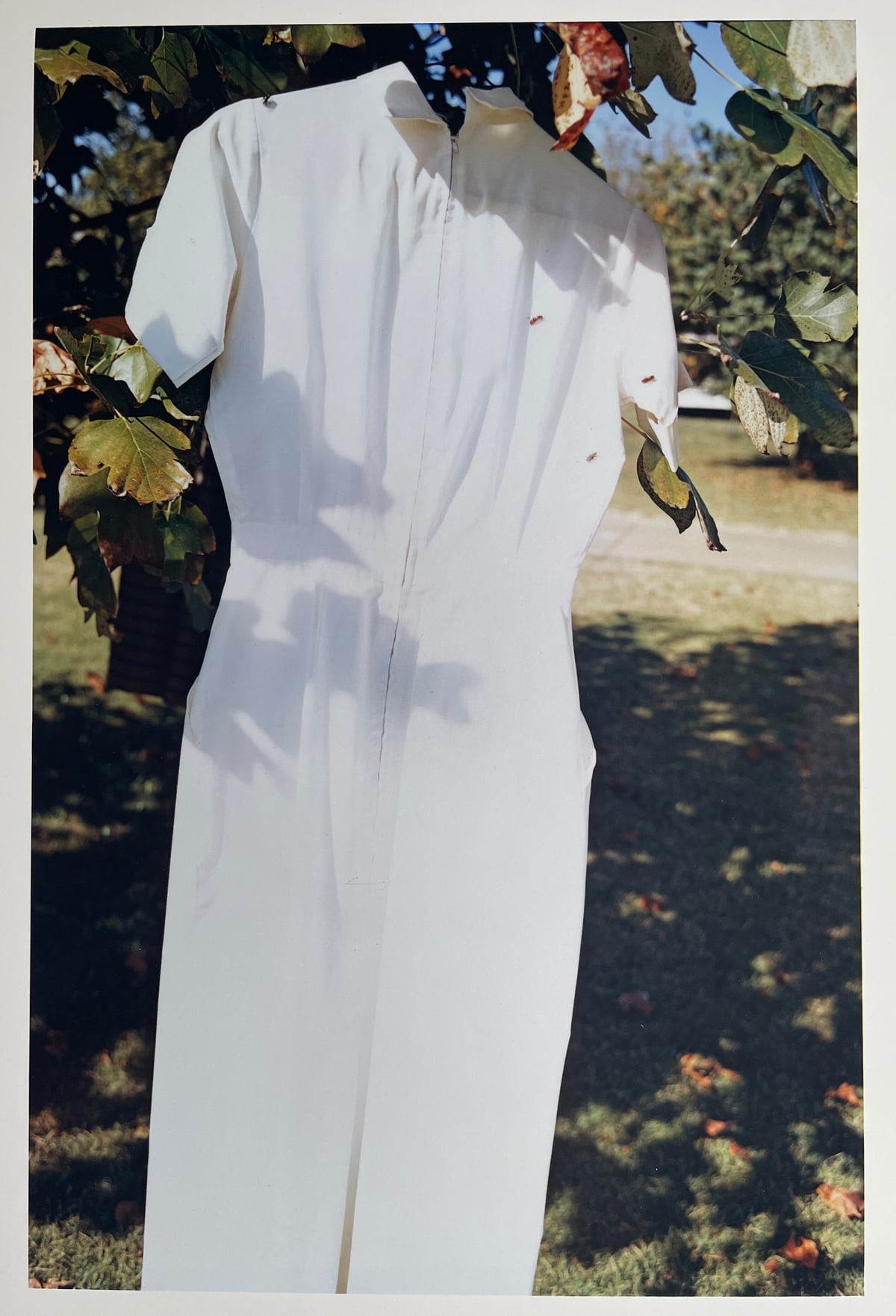 Artwork: Hanging garment, from Southern Suites