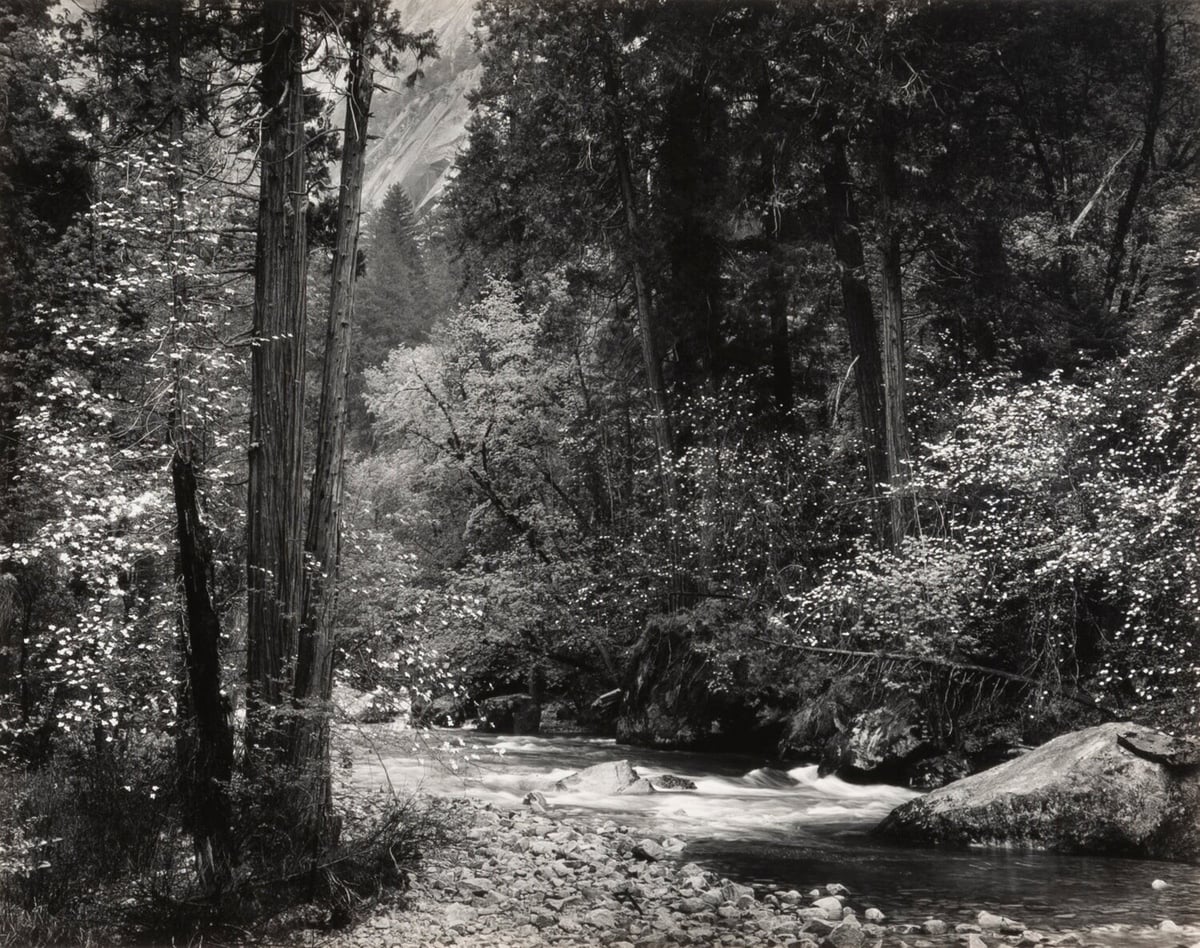 Artwork: Tenaya Creek, Spring Rain