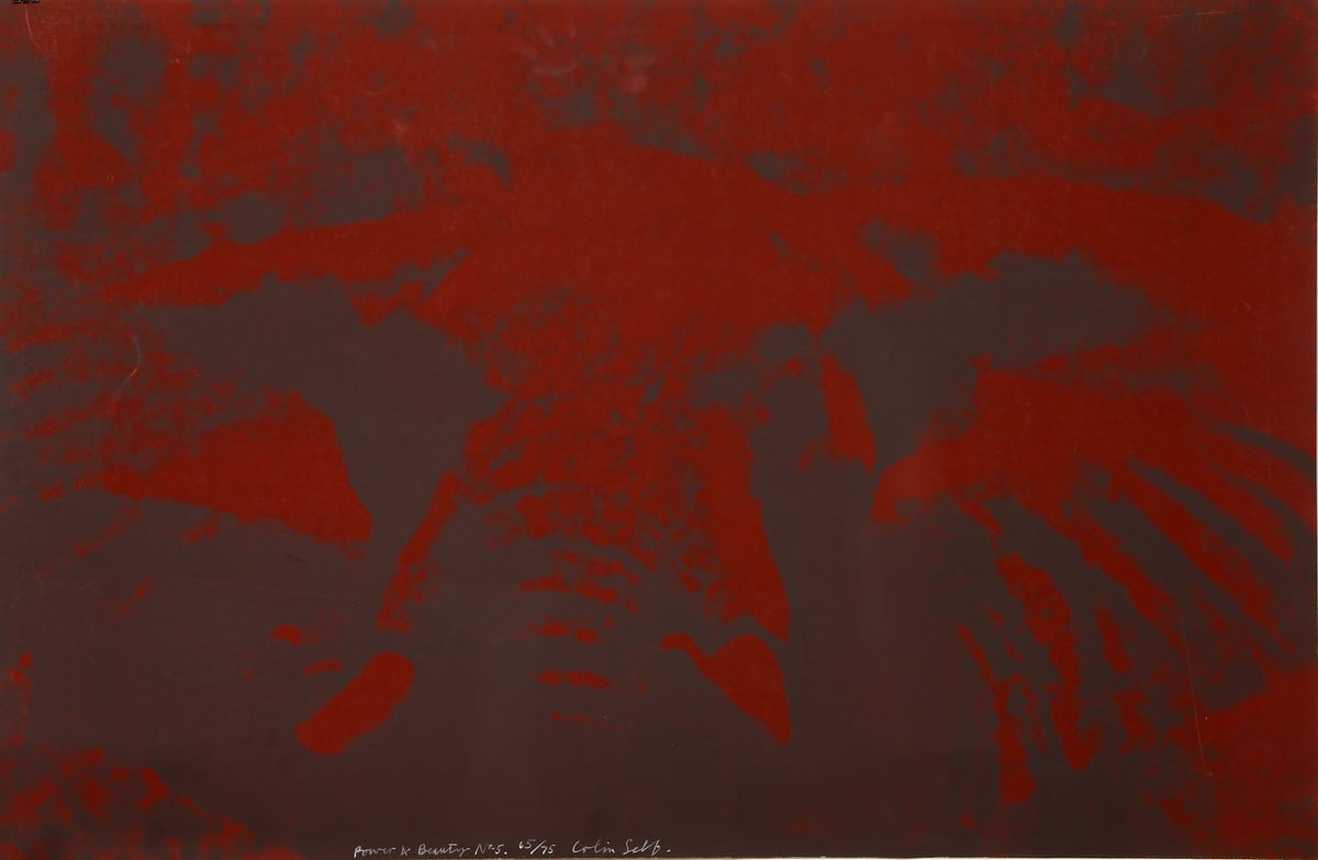 Artwork: Power and Beauty No. 5