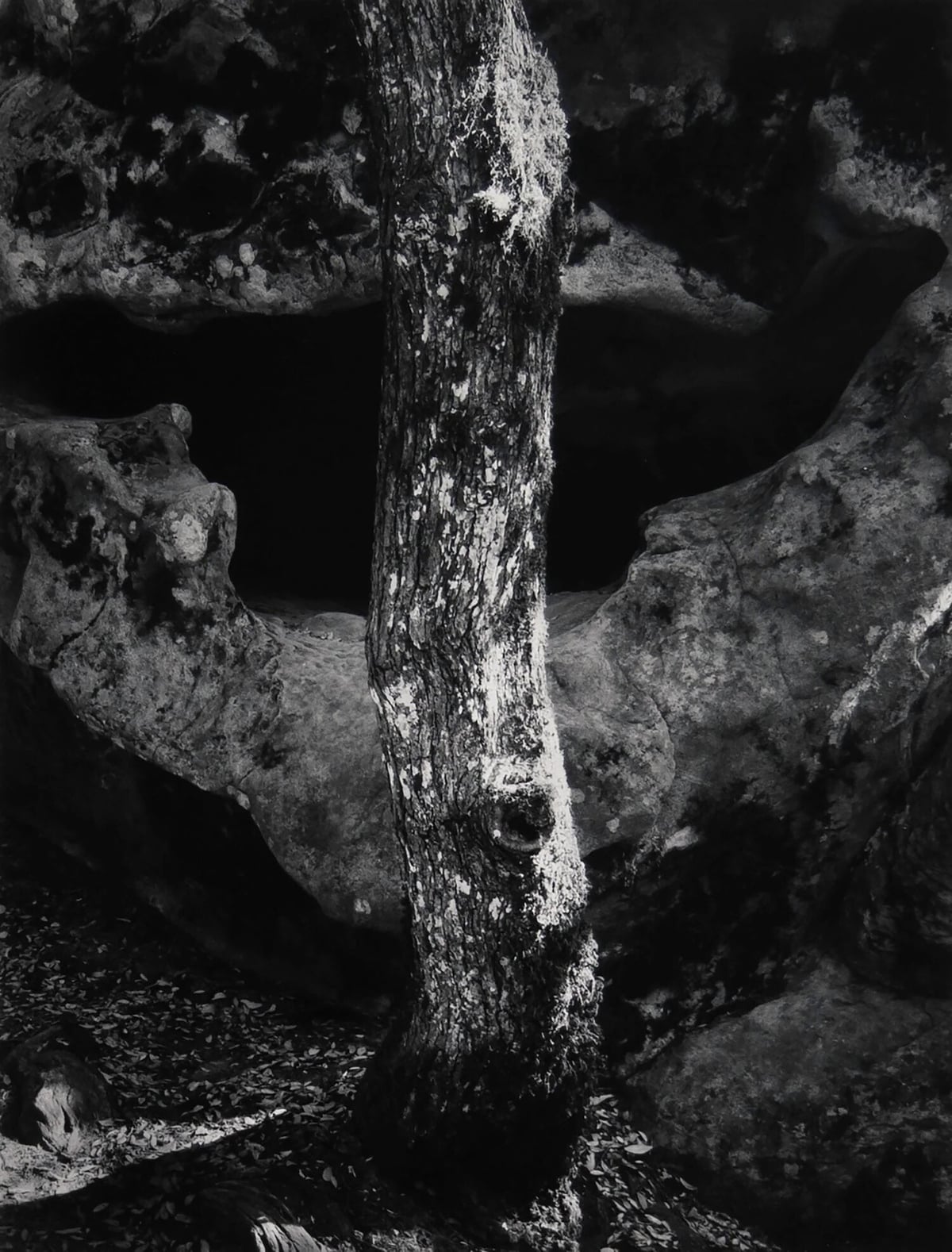 Artwork: Castle Rock, Summit Road above Saratoga