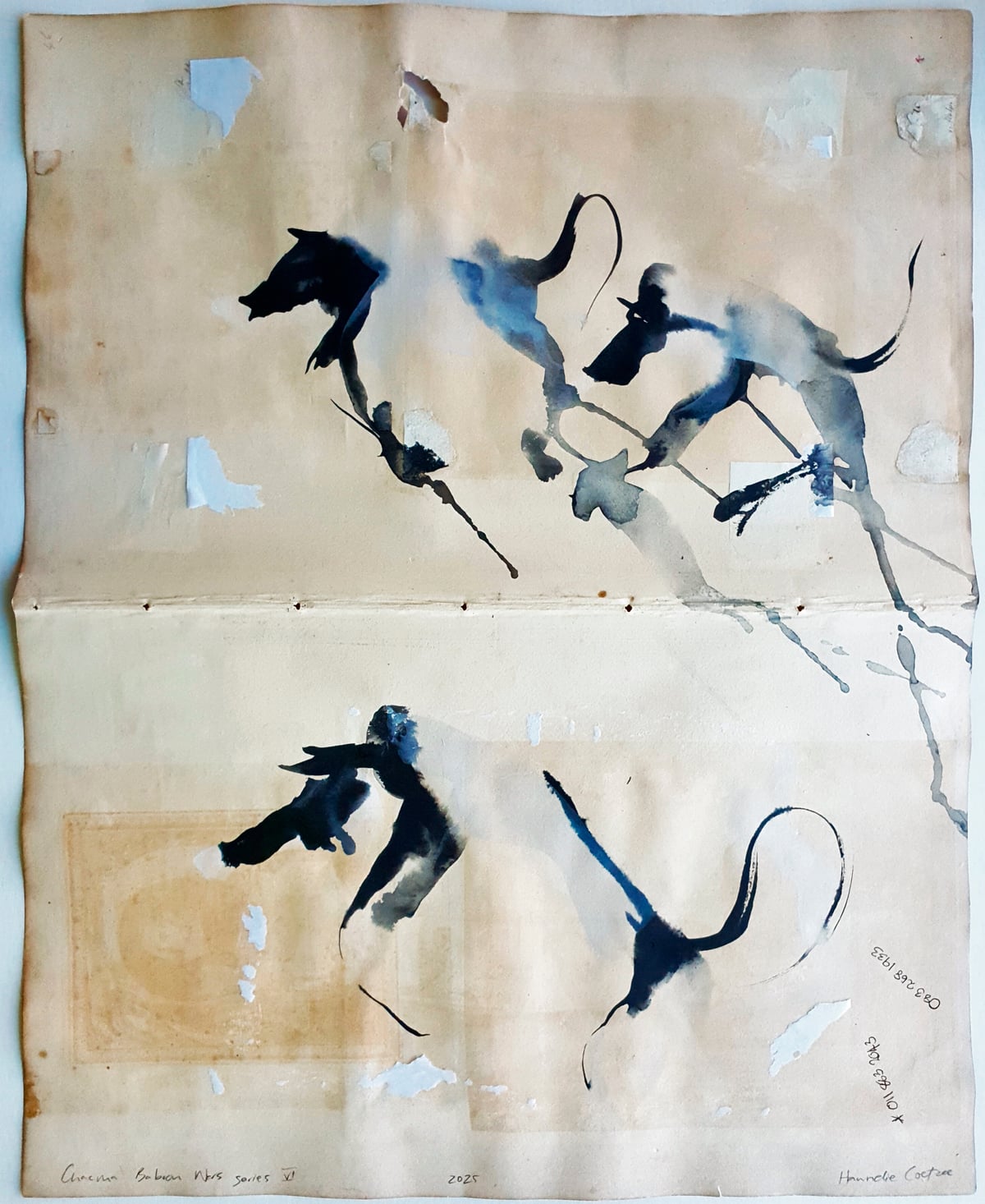 Artwork: Chacma baboon war series Vl