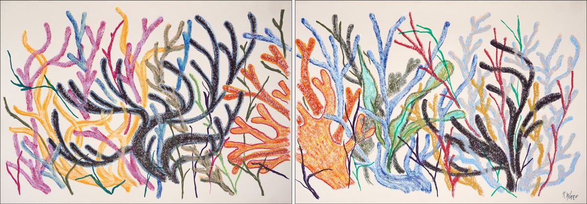 Artwork: Coral Horizon