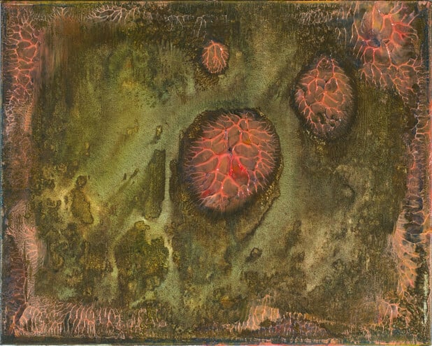 Artwork: Darwin's Coral #2315