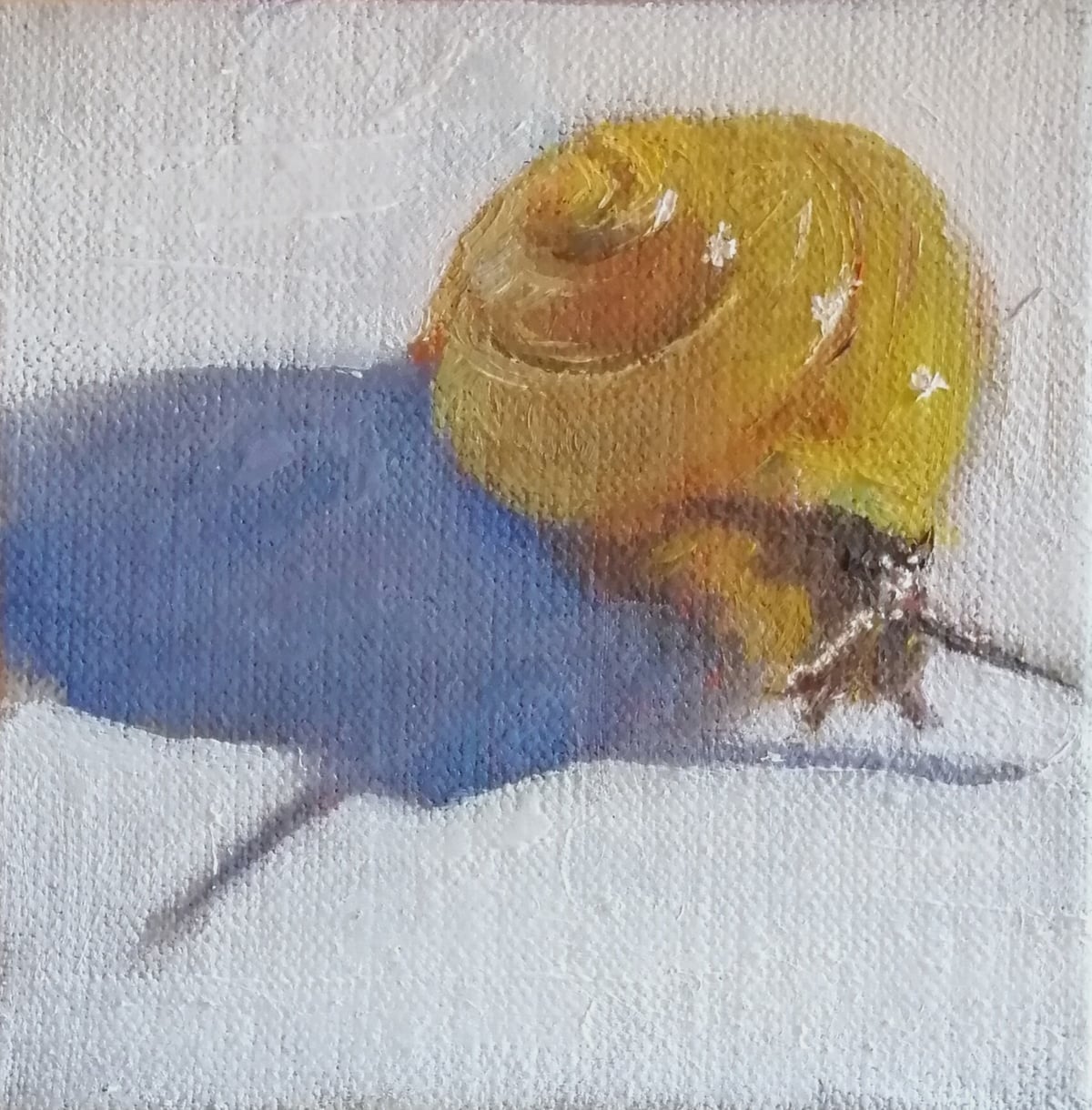 Artwork: Yellow Snail