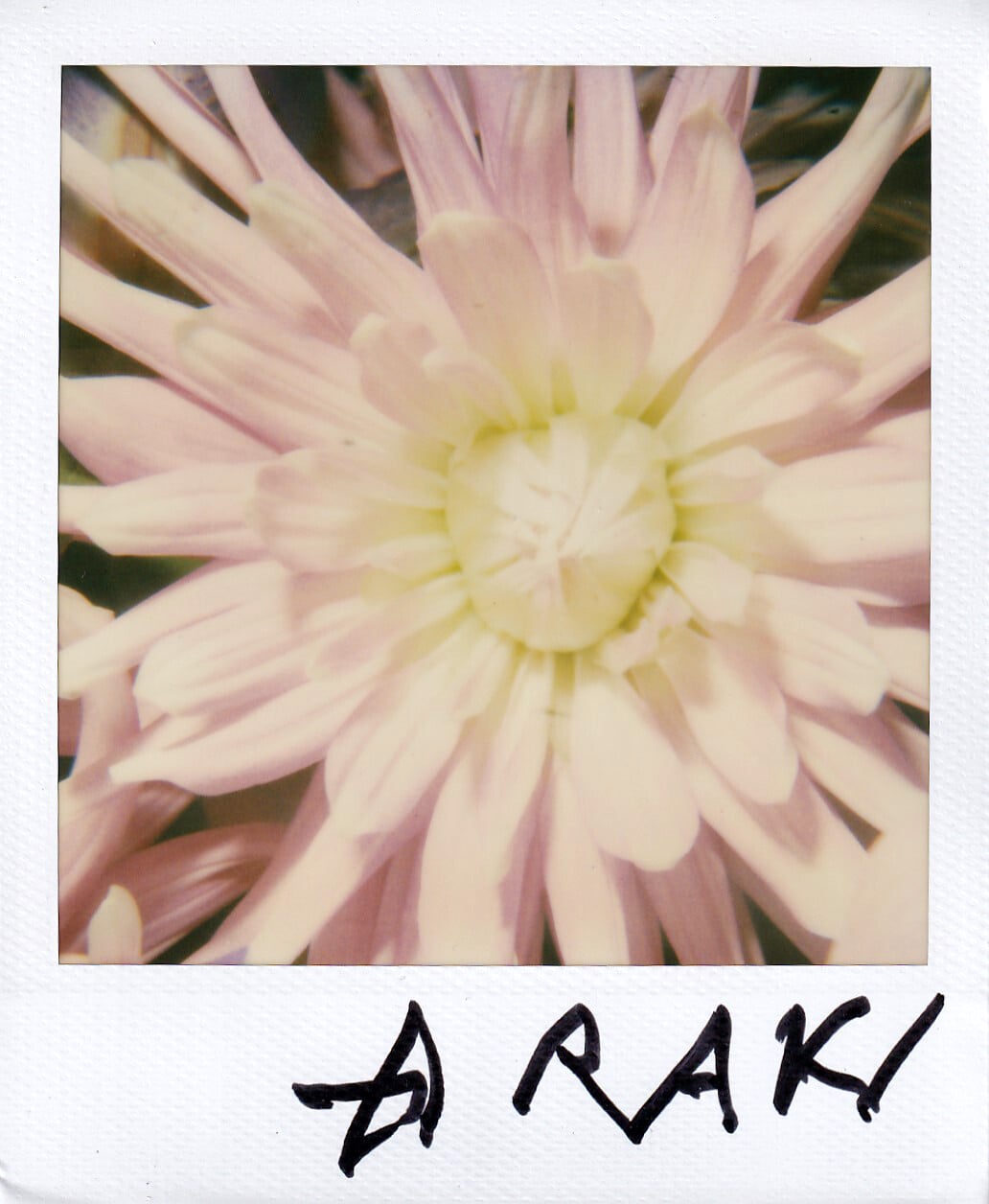 Artwork: Vintage Flowers polaroid