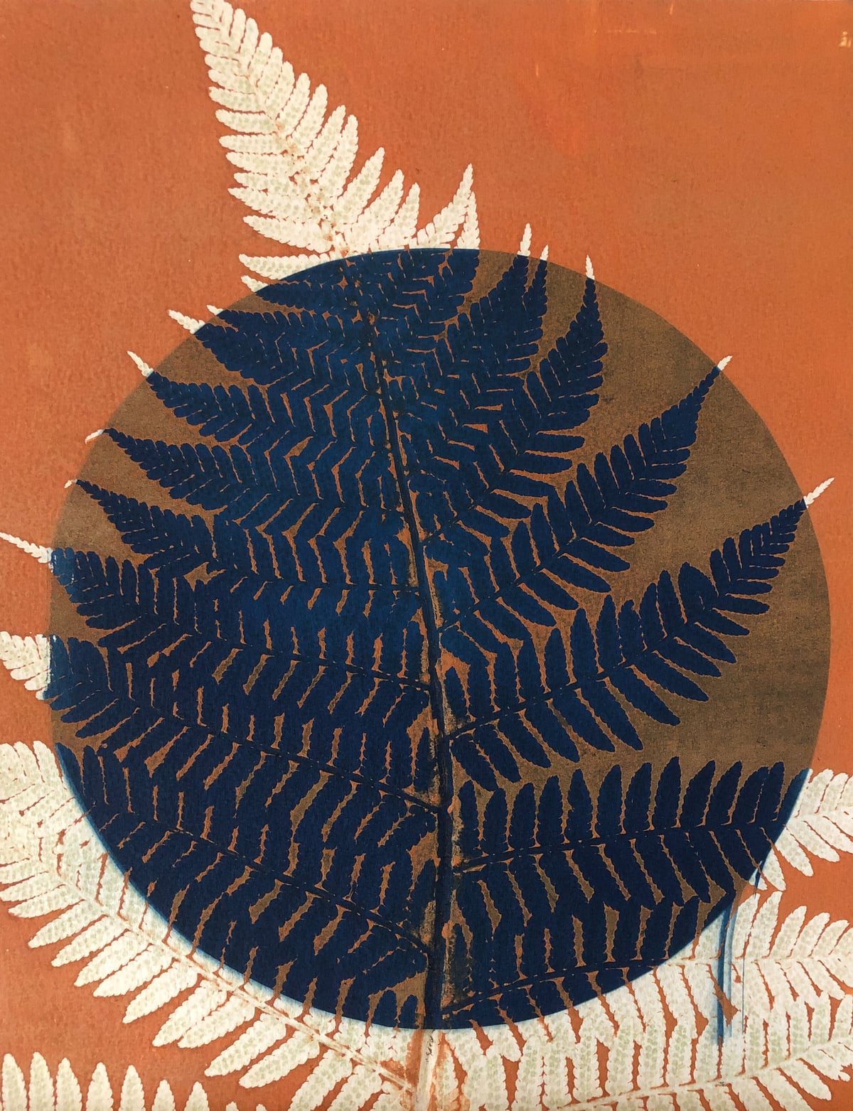 Artwork: Fern and New Moon