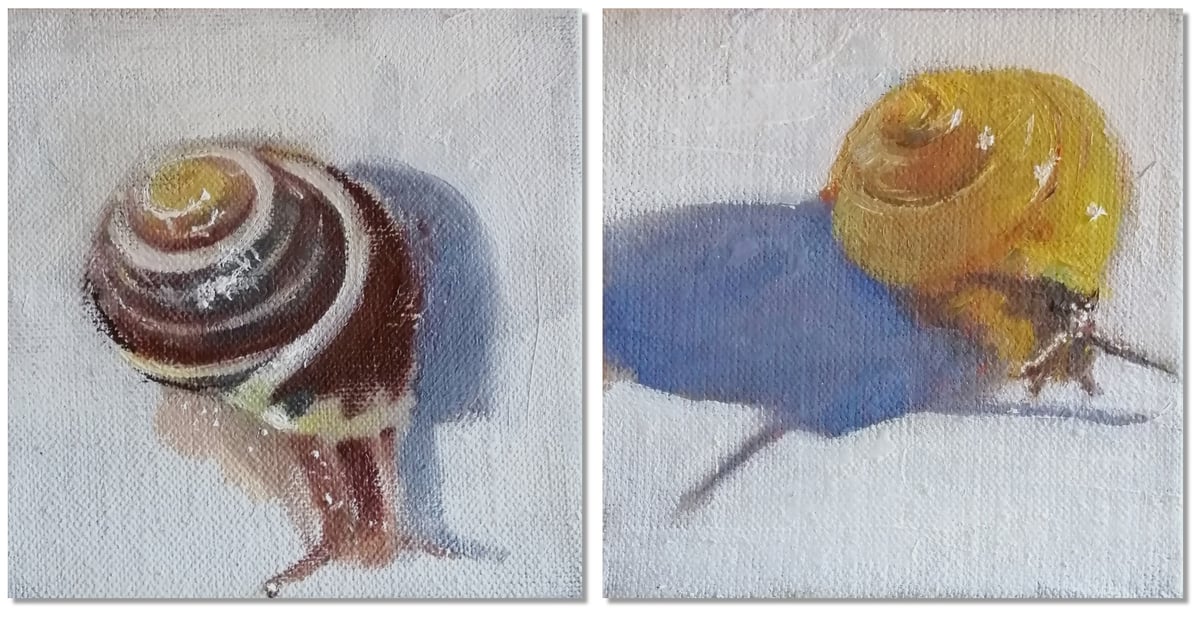 Artwork: Yellow Snail & Garden Snail (Set)