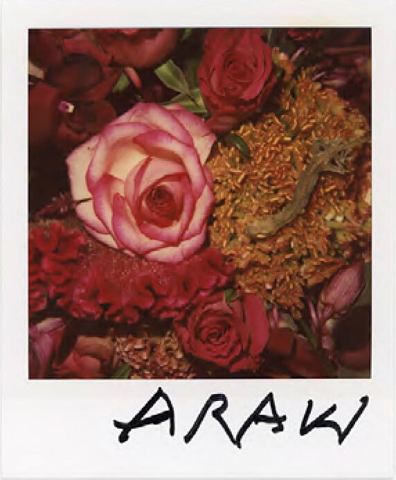 Artwork: Vintage Flower polaroids