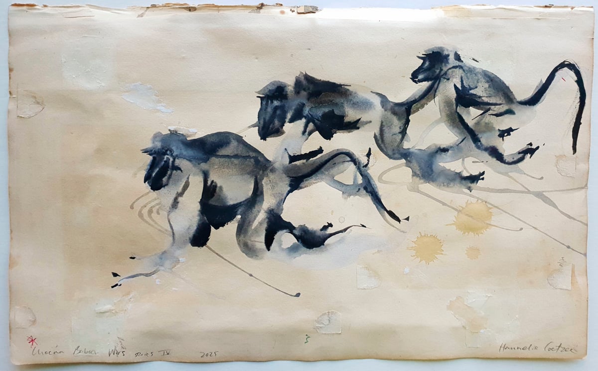 Artwork: Chacma baboon war series lV