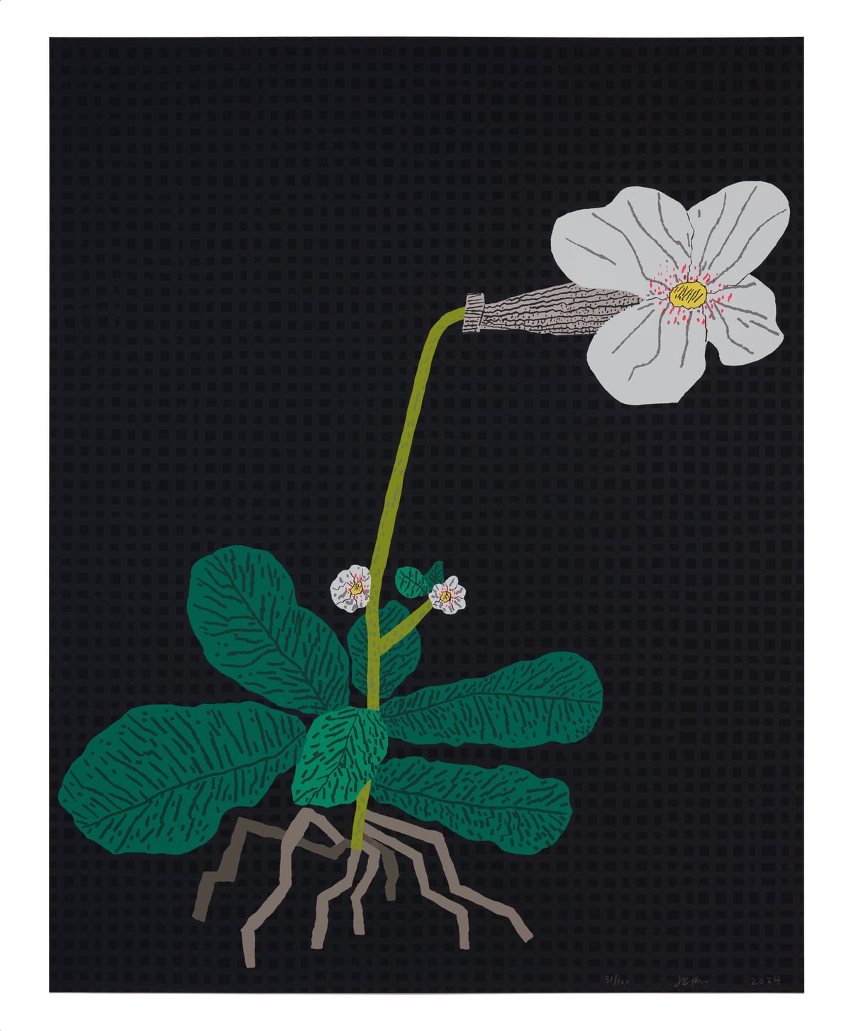 Artwork: White Flower with Grid