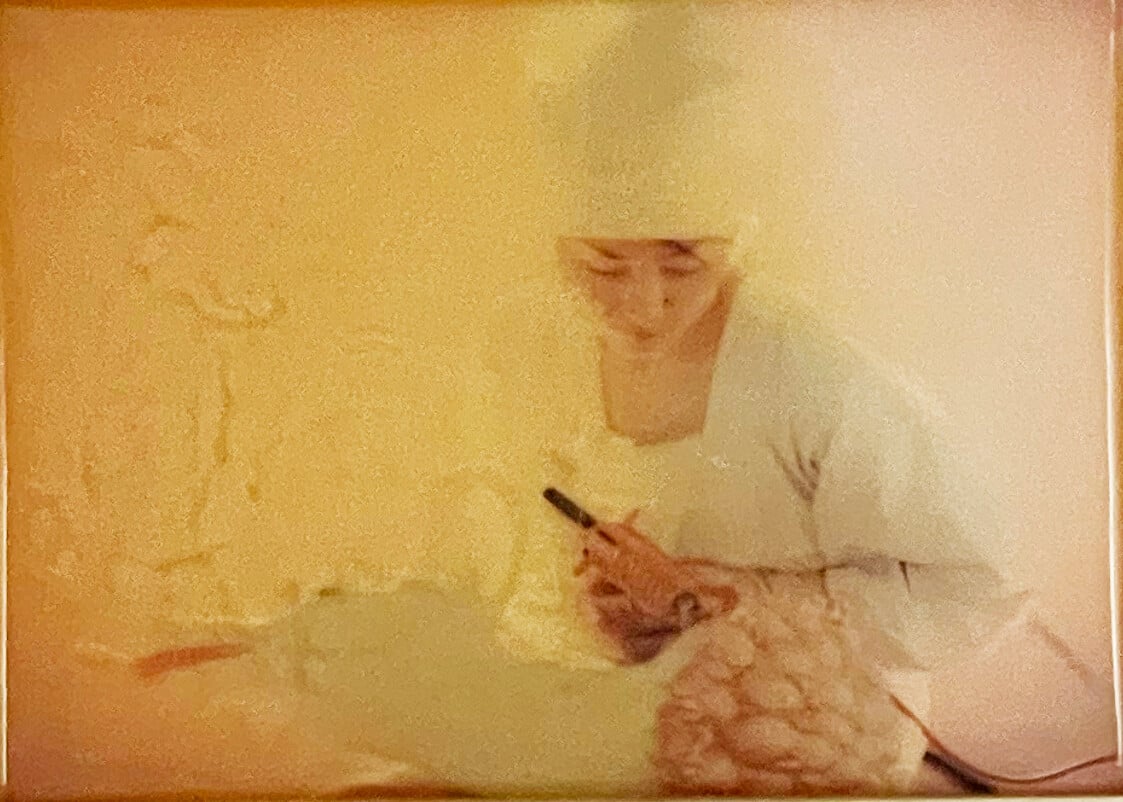 Artwork: A still from "A Tragic Bambi: Mother's Tears"