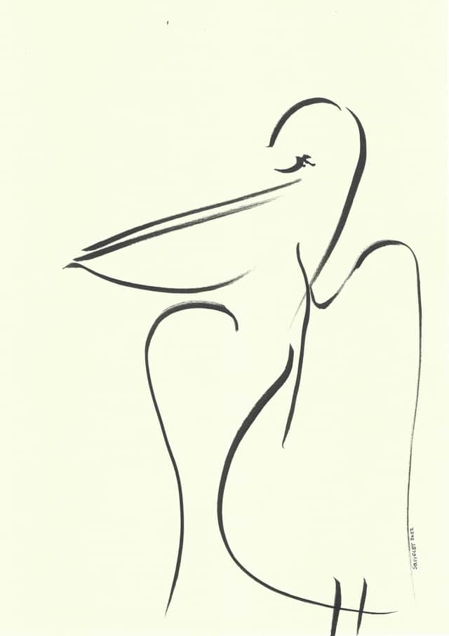 Artwork: Pelican - Poetic Journeys