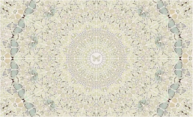 Damien Hirst Intricacy from the Kaleidoscopes, H18-5 by Damien Hirst