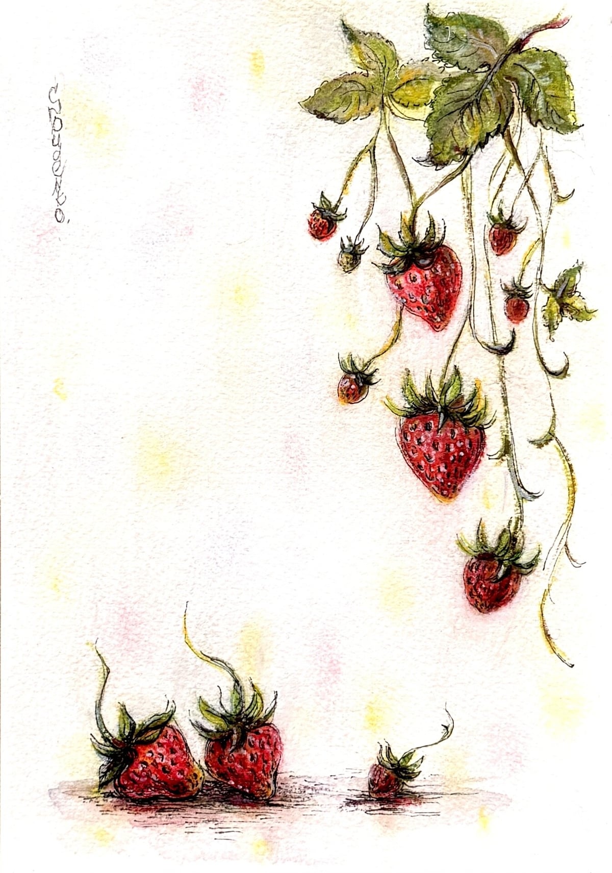 Artwork: Wild Strawberry / Dudenko S. / 2025 / 21x14,7 / Paper, Watercolor, Fineliner, Pastel