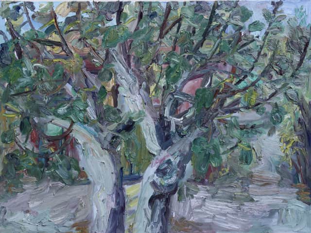 Artwork: Fig Tree in Quarantine