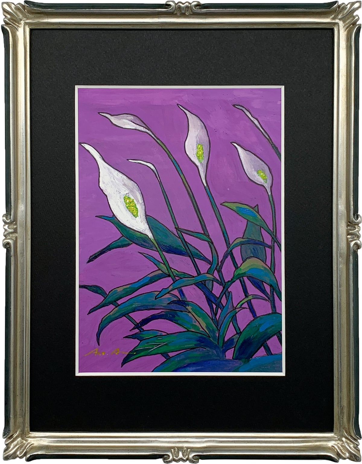 Artwork: Spathiphyllum